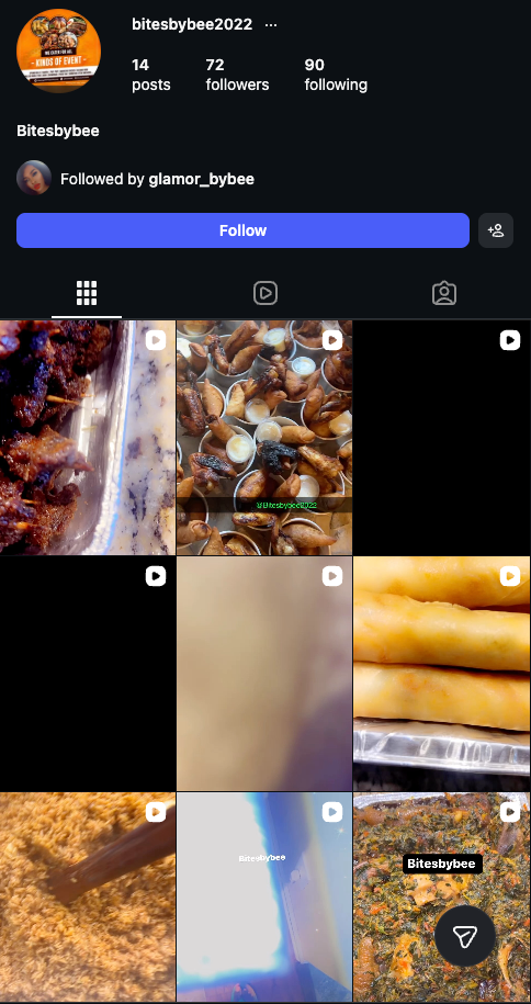 Instagram profile preview